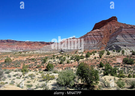 Bunte Badland Hügel im Old Paria, Grand Staircase Escalante National Monument, Utah Stockfoto