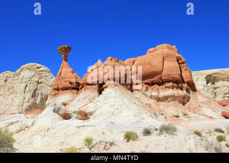 Fliegenpilz Hoodoos, Paria Rimrocks im Grand Staircase-Escalante National Monument, Utah Stockfoto