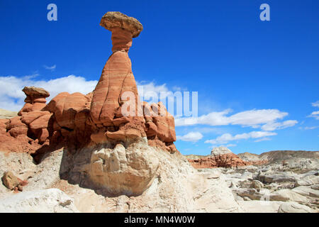 Fliegenpilz Hoodoos, Paria Rimrocks im Grand Staircase-Escalante National Monument, Utah Stockfoto