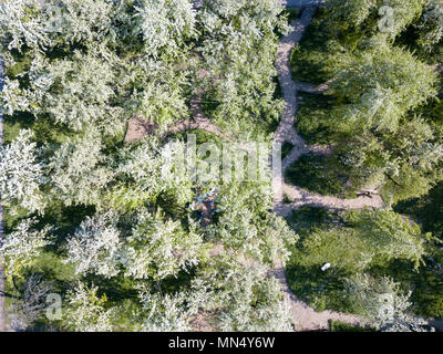 Frühjahr blühenden Park sonnigen Tag, Kiew, Ukraine. Luftaufnahme Stockfoto