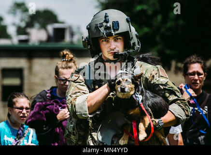 Senior Airman Austin Hellweg, 129 Rescue Squadron spezielle Missionen aviator, trägt ein Hund und führt eine Familie in ein HH-60 Pavehawk für die Extraktion zu einem sichereren Ort während der Entlastung Bemühung für Hurrikan Harvey, Aug 31st, 2017, Beaumont, Texas. Die Hilfsaktionen haben ein Konglomerat von aktiven Schutzes und der Reserve Einheiten aus allen Zweigen der Bundesregierung zu helfen, Texas vom Hurrikan Harvey erholen. (U.S. Air Force Foto: Staff Sgt. Jordan Castelan) Stockfoto