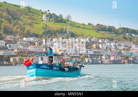 Angeln Boot oder Trawler eingabe Kingswear Hafen, Devon, Großbritannien Stockfoto