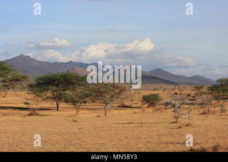 Bilder von Afrika - der Chyulu Hills National Park, Kenia Stockfoto