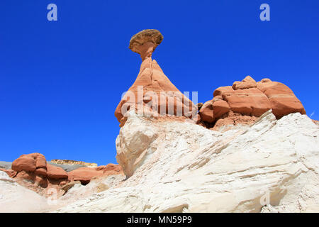 Fliegenpilz Hoodoos, Paria Rimrocks im Grand Staircase-Escalante National Monument, Utah Stockfoto