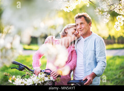 Schönes älteres Ehepaar mit Fahrräder außerhalb im Frühjahr die Natur unter blühenden Bäumen. Stockfoto