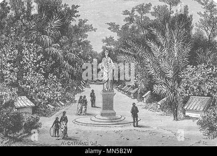 Australien. South Australia. Die Botanischen Gärten, Adelaide 1886 alten Drucken Stockfoto