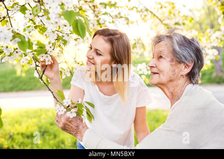 Gerne ältere Großmutter und Enkelin eines Erwachsenen draußen stehen unter Baum im Frühling Natur. Stockfoto