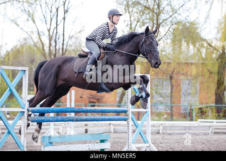 Junge Mädchen auf Bay Horse über Hürde im Springreiten Ausbildung springen Stockfoto