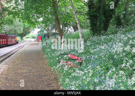 Beaudesert war der Name der Dieselmotor, den Wagen an der Leighton Buzzard Schmalspurbahn am 13. Mai 2018 zog Stockfoto