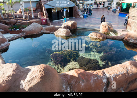 Coral World Underwater Observatory in Eilat, Israel Stockfoto