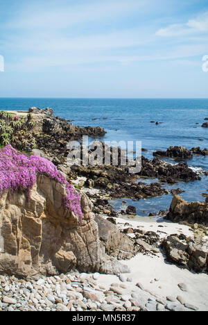 Monterey Halbinsel Küste, Kalifornien Stockfoto