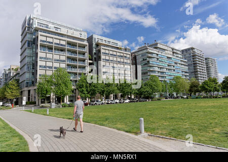 Mann, der seinen Hund über einen Fußweg im Olympischen Dorf auf False Creek, Vancouver, BC, Kanada Stockfoto