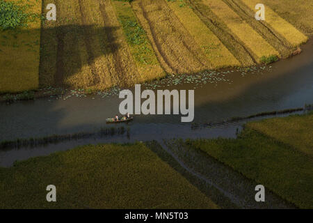 Landwirte und Touristen sind Rudern auf dem Fluss ngodong, Tam Coc, Ninh Binh, Vietnam Stockfoto