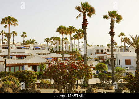 Resorts und Herrenhäuser Häuser mit vielen tropischen Palmen, Lanzarote, Kanarische Inseln Stockfoto