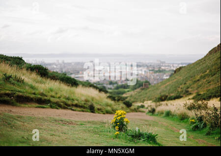 Blick über Scotlands Hauptstadt Edinburgh, Richtung Firth of Forth vom Arthurs Seat. Stockfoto