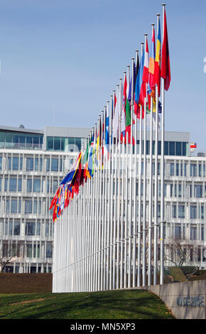 Die Fahnen der 47 Mitgliedstaaten des Europarates, die vor dem Palast der Europa, Palais de l'Europe, Straßburg, Elsass, Frankreich Stockfoto