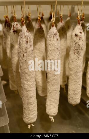 Wurst hängen und das Heilen, Haus, gourmet geheilt Erbe Texas Fleisch in einer Küche im La Bergerie handwerklichen Markt, Fredericksburg, Texas, USA Stockfoto