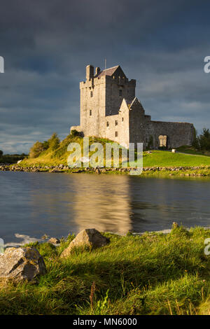 Dunguaire Castle (geb. 16. Jahrhundert) in der Nähe von Kinvara, County Galway, Irland Stockfoto