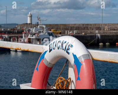 Eine lifebouy in Buckie Hafen, Moray, Schottland Stockfoto