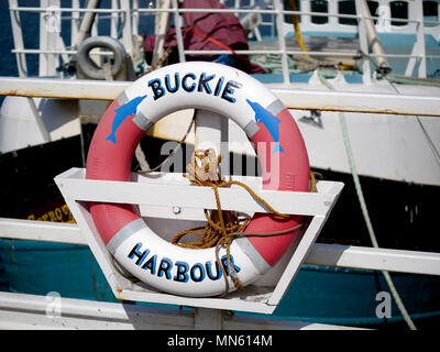 Eine lifebouy in Buckie Hafen, Moray, Schottland Stockfoto