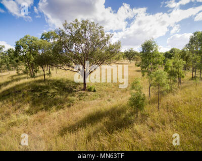 Luftbild von einer Farm in Queensland. Stockfoto