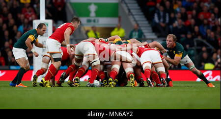 Schalk Burger sieht für die Pause in der Scrum Südafrika während der IRB-RWC Quartal 2015 Finale zwischen Wales v RSA Südafrika bei Twickenham Stadium. London, England. 17. Oktober 2015 Stockfoto