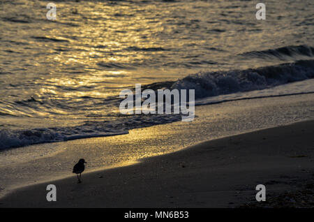 Sommer am Nachmittag auf der atlantischen Küste Stockfoto