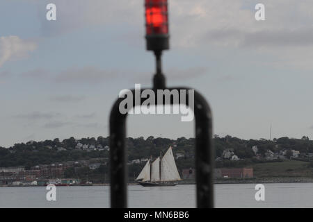 Die Bluenose II Segeln im Hafen von Halifax, Nova Scotia. Stockfoto