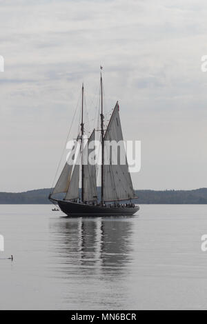 Die Bluenose II Segeln im Hafen von Halifax, Nova Scotia. Stockfoto