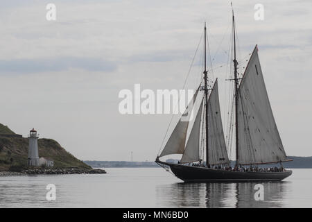 Die Bluenose II Segeln im Hafen von Halifax, Nova Scotia. Stockfoto