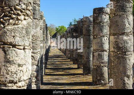 Ruinen von Chichen Itza, Spalten in den Tempel der Tausend Krieger, Yucatan, Mexiko Stockfoto