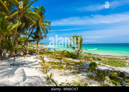 Hängematte unter Palmen am Paradise Beach im Tropical Resort. Riviera Maya - karibische Küste in Tulum, Quintana Roo, Mexiko Stockfoto