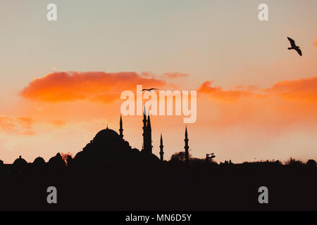 ISTANBUL/TÜRKEI - Dezember 24,2016: Die neue Moschee (Yeni Camii). Die neue Moschee ist ein Ottoman Imperial Moschee in 1665 abgeschlossen, in Istanbul, T entfernt Stockfoto