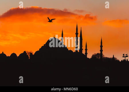 ISTANBUL/TÜRKEI - Dezember 24,2016: Die neue Moschee (Yeni Camii). Die neue Moschee ist ein Ottoman Imperial Moschee in 1665 abgeschlossen, in Istanbul, T entfernt Stockfoto