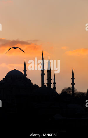 ISTANBUL/TÜRKEI - Dezember 24,2016: Die neue Moschee (Yeni Camii). Die neue Moschee ist ein Ottoman Imperial Moschee in 1665 abgeschlossen, in Istanbul, T entfernt Stockfoto