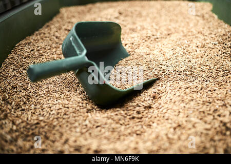 Futtergetreide in einem großen grünen Tank und eine handshovel Stockfoto