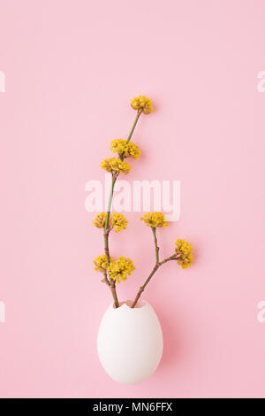 Blühende Zweige in Weiß Eierschale auf rosa Hintergrund. Ostern minimal gestaltete Karte. Vertikal oben anzeigen. Stockfoto