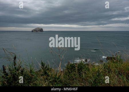 Der Bass Rock, North Berwick, East Lothian, Schottland Stockfoto