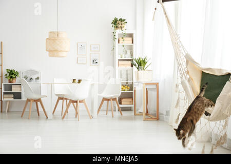 Katze auf einer Hängematte und Pflanzen im hellen Speisesaal Interieur mit Rattan Lampe über dem Tisch und weißen Stühlen Stockfoto