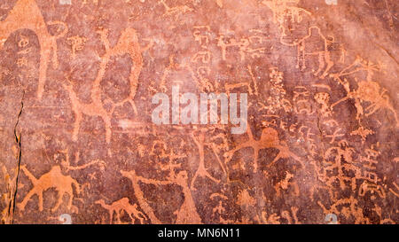 Alte Felszeichnungen von Camel auf Red Rock (Rock Carving) in einem Tal in den Sandstein und Granit im südlichen Jordanien Stockfoto