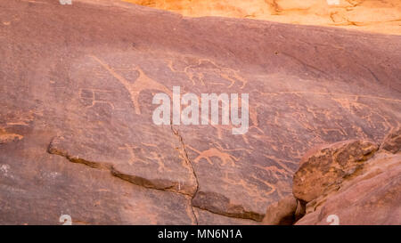 Alte Felszeichnungen von Camel auf Red Rock (Rock Carving) in einem Tal in den Sandstein und Granit im südlichen Jordanien Stockfoto