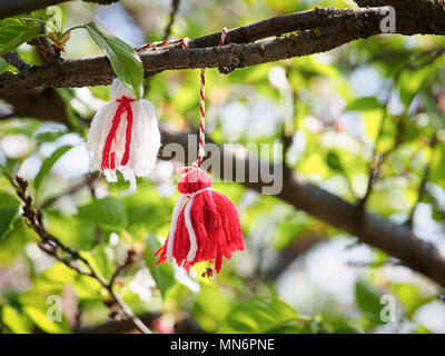 Martisor (martenitsa) auf einem Zweig eines Baumes Stockfoto