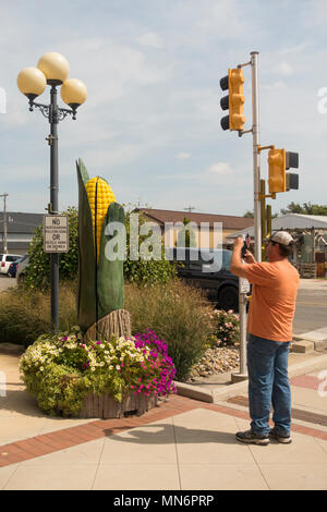 Welten Datensätze Sammlung in Casey Illinois Stockfoto