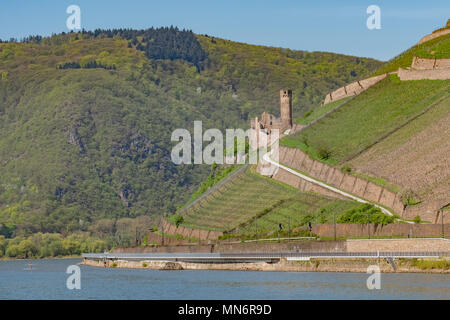 Gefunden am Ufer des Rheins in der Nähe von Rüdesheim Deutschland, Burg Ehrenfels wurde in 1211 gebaut. Es wurde später von den Franzosen im Jahre 1689 zerstört. Stockfoto