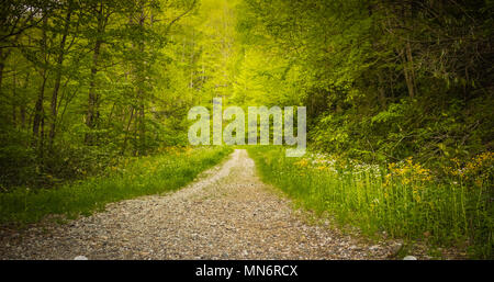 Blue Ridge Mountains in North Carolina Stockfoto