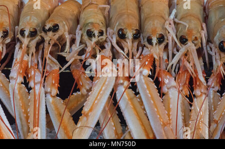 Fangfrische Langusten auf einem am Borough Market Stall bei einem fischhändler zum Verkauf Stall gestapelt. frische Meeresfrüchte und Schalentiere an einem lokalen Fischhändler Stockfoto