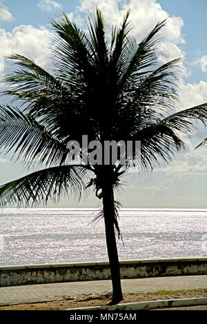 Strand von Bessa, Cabo Branco, Joao Pessoa, Paraíba, Brasilien Stockfoto