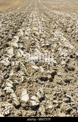 Land mit tiefen Furchen, die von der Sonne getrocknet Gepflügt. Stockfoto