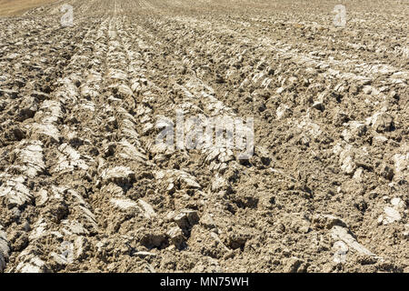 Tiefe Furchen durch die Sonne auf einem gepflügten Land getrocknet. Stockfoto