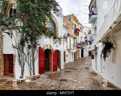 Charmante leer Cobblestone weiß getünchten Straße der Altstadt von Ibiza (Eivissa). Blühende Efeu mit roten Blumen auf einer Hauswand. Balearen. Spanien Stockfoto